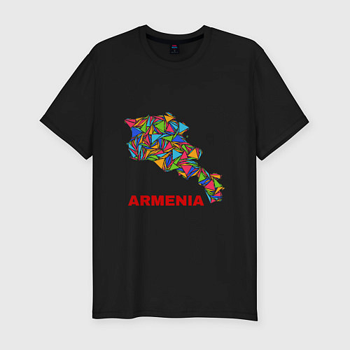 Мужская slim-футболка Armenian Color / Черный – фото 1