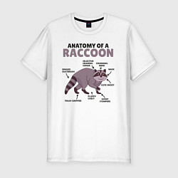 Мужская slim-футболка Анатомия енота