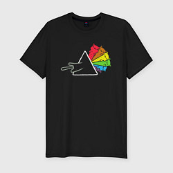 Мужская slim-футболка Pink Floyd коты