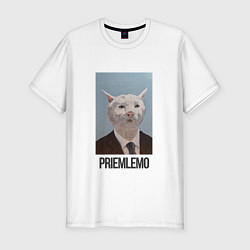Мужская slim-футболка Приемлемо - кот мем в живописи