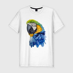 Мужская slim-футболка Сине-золотой попугай ара