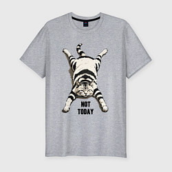 Мужская slim-футболка Ленивый кот - not today