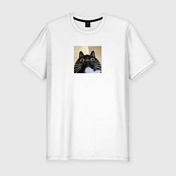 Мужская slim-футболка Видеозвонок с котом парный мем