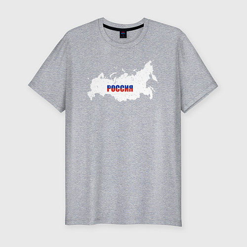 Мужская slim-футболка Россия карта / Меланж – фото 1