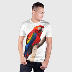 Футболка спортивная мужская Яркий попугай, цвет: 3D-принт — фото 2