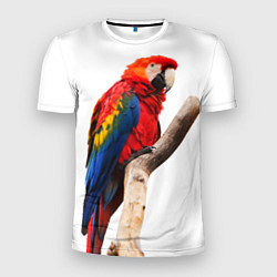 Мужская спорт-футболка Яркий попугай