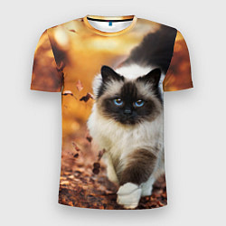 Мужская спорт-футболка Котик в листьях
