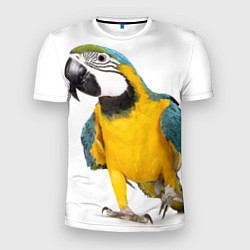 Мужская спорт-футболка Попугай ара