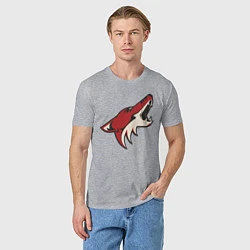 Футболка хлопковая мужская Phoenix Coyotes, цвет: меланж — фото 2