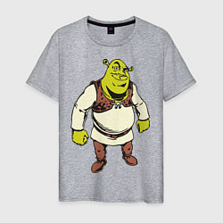 Футболка хлопковая мужская Shrek 3, цвет: меланж