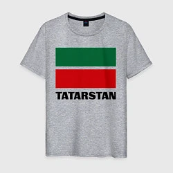 Футболка хлопковая мужская Флаг Татарстана, цвет: меланж