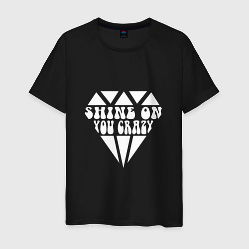 Мужская футболка Shine on you crazy / Черный – фото 1