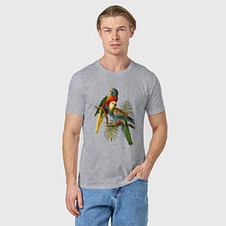 Футболка хлопковая мужская Тропические попугаи, цвет: меланж — фото 2