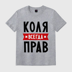 Футболка хлопковая мужская Коля всегда прав, цвет: меланж