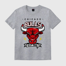 Футболка хлопковая мужская Chicago Bulls est. 1966, цвет: меланж