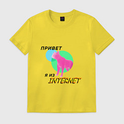 Футболка хлопковая мужская Привет я из internet, цвет: желтый