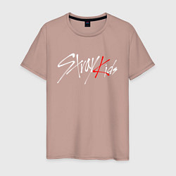 Футболка хлопковая мужская STRAY KIDS FELIX, цвет: пыльно-розовый