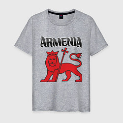 Футболка хлопковая мужская Армения, цвет: меланж