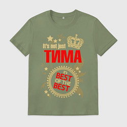 Футболка хлопковая мужская Тима лучший, цвет: авокадо