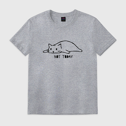 Мужская футболка Кот не сегодня / Меланж – фото 1