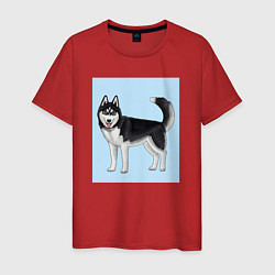 Футболка хлопковая мужская Сибирский хаски собака, цвет: красный