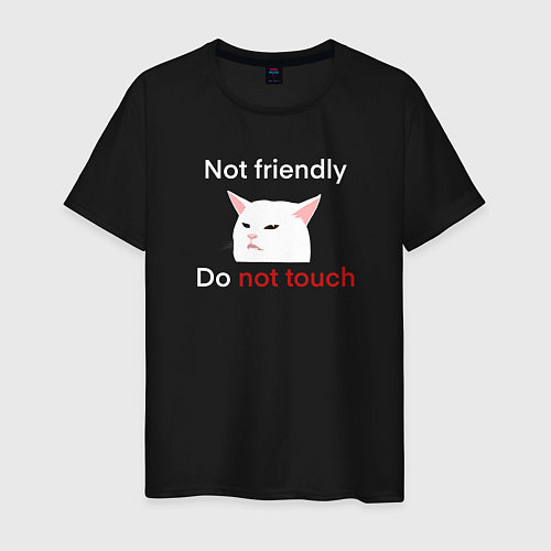 Мужская футболка Not friendly, do not touch, текст с мемным котом / Черный – фото 1