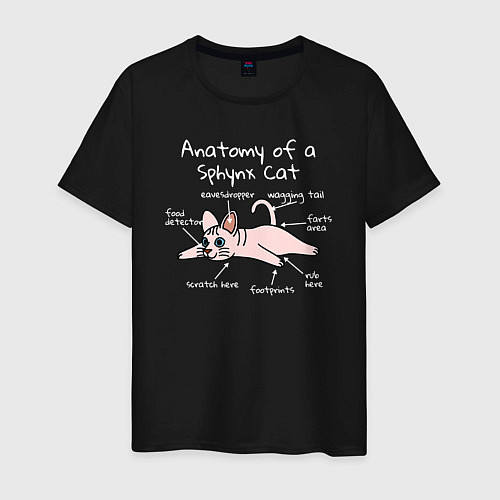 Мужская футболка Анатомия кошки сфинкса / Черный – фото 1