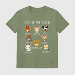 Футболка хлопковая мужская Лисы Мира, цвет: авокадо