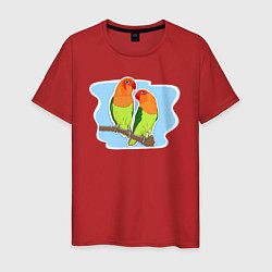 Футболка хлопковая мужская Птицы Неразлучники Птицы, цвет: красный