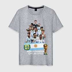 Футболка хлопковая мужская Аргентина чемпион, цвет: меланж