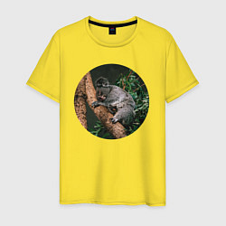 Футболка хлопковая мужская Коала уснула, цвет: желтый