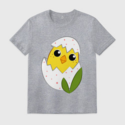 Футболка хлопковая мужская Птенчик вылупляется, цвет: меланж