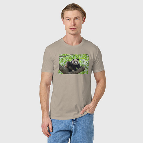 Мужская футболка Медведь панда на дереве / Миндальный – фото 3