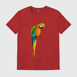 Футболка хлопковая мужская Попугайчик интересно смотрит, цвет: красный