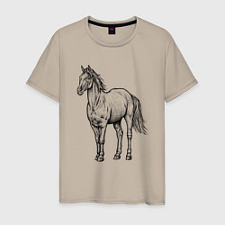 Футболка хлопковая мужская Лошадь стоит, цвет: миндальный