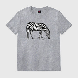 Футболка хлопковая мужская Зебра ест траву, цвет: меланж