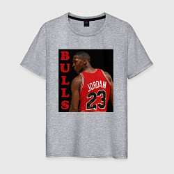 Футболка хлопковая мужская Bulls Jordan, цвет: меланж