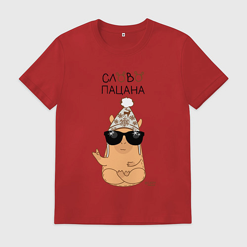 Мужская футболка Капибара: слово пацана / Красный – фото 1