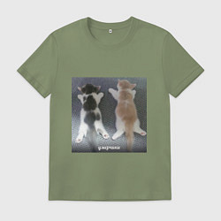 Футболка хлопковая мужская Мемные коты умерчики, цвет: авокадо