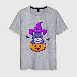 Футболка хлопковая мужская Kitty halloween, цвет: меланж