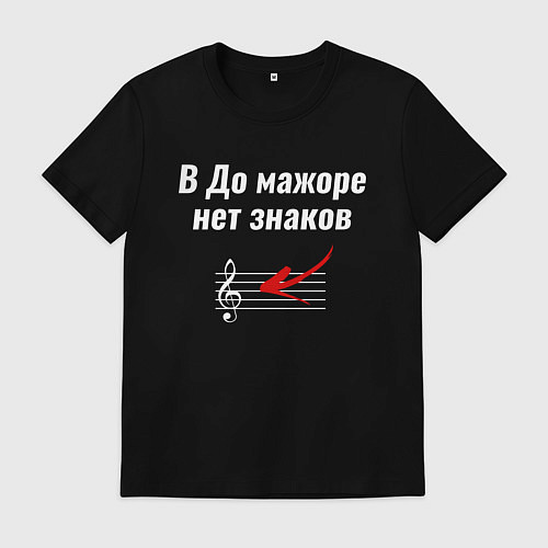 Мужская футболка В До мажоре нет знаков / Черный – фото 1