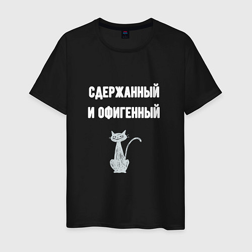 Мужская футболка Сдержанный и офигенный / Черный – фото 1