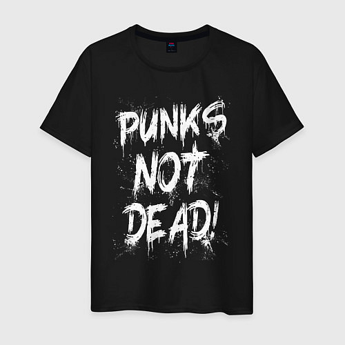 Мужская футболка Punk not dead / Черный – фото 1