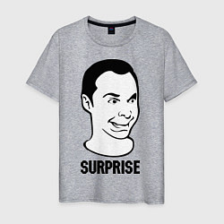 Футболка хлопковая мужская Sheldon surprise, цвет: меланж