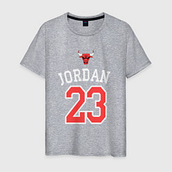 Футболка хлопковая мужская Jordan 23, цвет: меланж