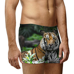 Трусы-боксеры мужские Тигр в джунглях, цвет: 3D-принт — фото 2