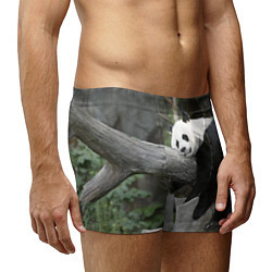 Трусы-боксеры мужские Большая уставшая панда, цвет: 3D-принт — фото 2