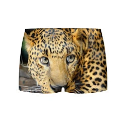 Трусы-боксеры мужские Улыбка леопарда, цвет: 3D-принт