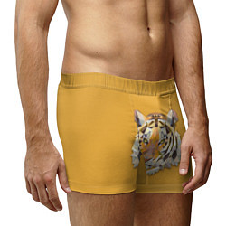 Трусы-боксеры мужские Геометрический тигр, цвет: 3D-принт — фото 2