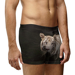 Трусы-боксеры мужские Белый тигр, цвет: 3D-принт — фото 2